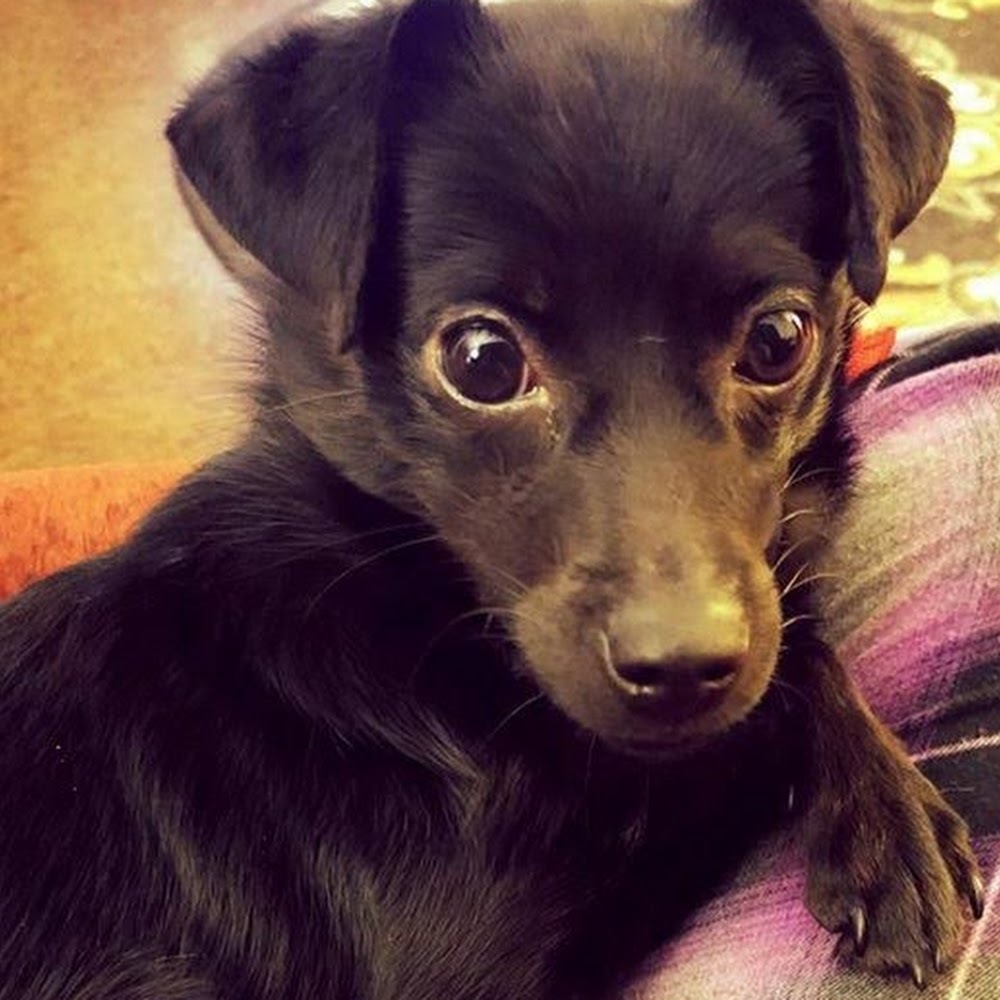 Meet your Posher, Lynn